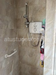 Electric shower