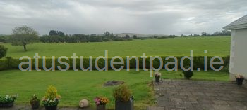Back garden views