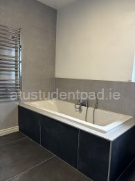Shared bathroom - 2 female students