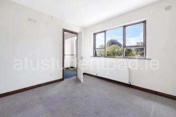 blank image