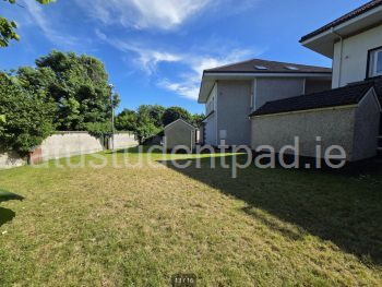 blank image