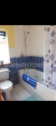 blank image